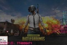 瓜老板吃鸡,一场舌尖上的冒险