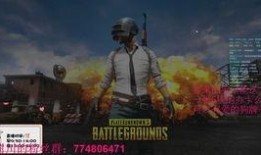 瓜老板吃鸡,一场舌尖上的冒险