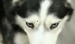 哈师范吃瓜,吃瓜群众揭秘校园热点事件