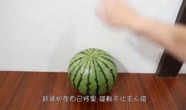 速度吃瓜,揭秘瓜界新潮流