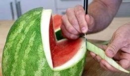 吃瓜鲸鱼88,探寻海洋中的神秘美食传奇