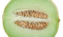 新疆 吃瓜,探寻新疆特色美食之旅