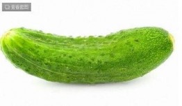 吃瓜吃到沧州,探寻沧州美食文化之旅