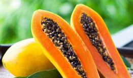 秋天吊瓜怎么吃最好,解锁吊瓜的多彩食法