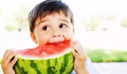 吃瓜和磁场有关,揭秘日常生活中的科学奥秘