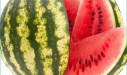 吃瓜仔每天吃多少,揭秘瓜界食量之谜