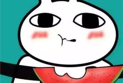 吃瓜精彩表情包