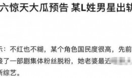 全网吃瓜我离婚,揭秘“全网吃瓜我离婚”背后的真相与反思