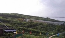 莱芜公园吃瓜事件,一场引发热议的公共道德风波