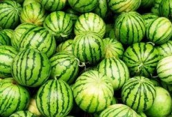 白胖吃瓜,揭秘娱乐圈的甜蜜瓜田