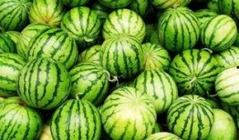 白胖吃瓜,揭秘娱乐圈的甜蜜瓜田