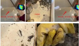 吃瓜台,吃瓜台带你领略明星幕后故事