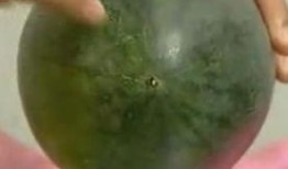 吃西瓜不吐籽长出瓜,不吐籽也能长出美味新瓜