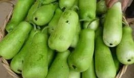 葫芦瓜整根吃,葫芦瓜整根食用的独特魅力