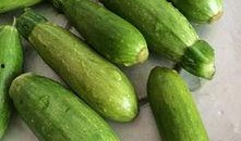 角瓜咋样吃,角瓜的多样吃法大揭秘