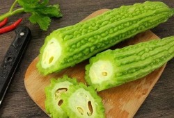 零基础吃瓜,轻松入门，畅享娱乐盛宴