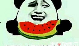 我吃瓜是什么梗,揭秘“我吃瓜”网络热梗背后的故事与影响