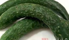 吃瓜药不药,网络热词背后的文化现象