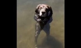 小黑吃瓜现场,揭秘娱乐圈幕后风云