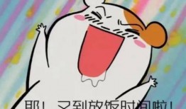 吃瓜火热全开知乎,全民热议背后的社会现象解析