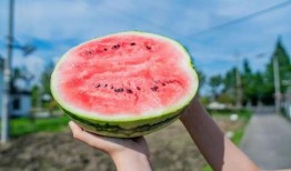 吃瓜回头,揭秘网络舆论的真相与反思