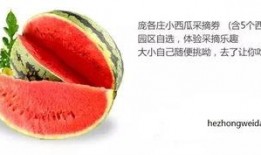 吃瓜讨论中心,揭秘娱乐圈幕后故事