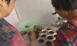 老年阿姨吃瓜,老年阿姨的悠闲生活剪影