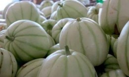 泰国怎么吃瓜,解锁热带美食中的“吃瓜”奥秘