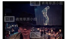 吃林俊杰瓜,揭秘华语乐坛“情歌王子”的甜蜜与苦涩