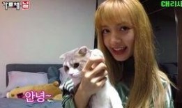 lisa吃瓜儿,揭秘娱乐圈幕后故事