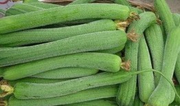 吃到喜欢 吃瓜,从吃到喜欢到吃瓜的快乐之旅