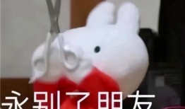 吃瓜表情包嘲讽,表情包嘲讽揭示社会百态