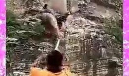 男子吃瓜跳桥,一场意外引发的悲剧与反思