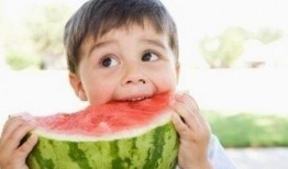 跟着小桂子吃瓜,小桂子带你领略瓜界风云