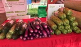 聚集吃瓜,揭秘网络热议背后的现象与心理