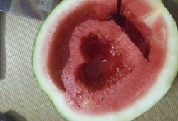 炫酷吃瓜,揭秘娱乐圈幕后风云