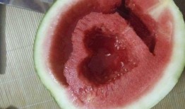 炫酷吃瓜,揭秘娱乐圈幕后风云