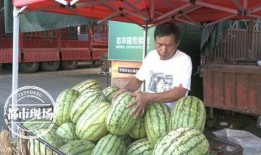 三瓜公社吃瓜视频,揭秘吃瓜视频背后的趣味与魅力