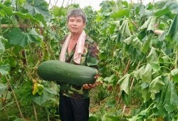 火爆吃瓜11,揭秘娱乐圈最新热点事件