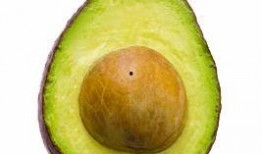 浙农林吃瓜,瓜香四溢，欢乐无限