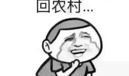 吃瓜群众的工资,生活不易，瓜也要吃得起