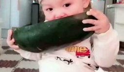 小黄黄吃瓜路人,一场别开生面的人生旅程