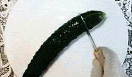 儿童吃瓜表情包gif,儿童吃瓜表情包GIF萌动瞬间