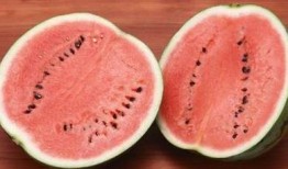 吃瓜群众护肤,轻松掌握美丽秘诀