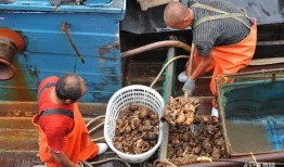 吃瓜扫货员,揭秘网红带货背后的秘密