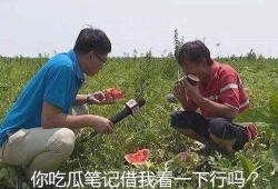 吃瓜表情无籽瓜