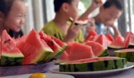 吃瓜节,一场全民狂欢的美食盛宴