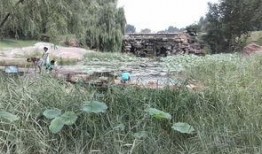 莱芜公园吃瓜事件,一场引发热议的公共道德风波