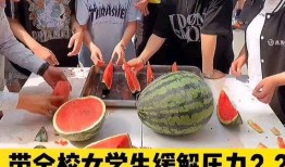 吃瓜活动英文,Unveiling the Buzz: A Gossipy Overview of the 'Eating Watermelon' Event