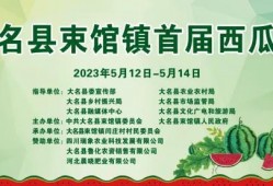 吃瓜看戏河北,揭秘河北风云变幻